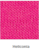Heliconia 213