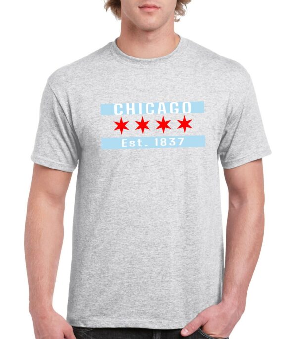 ChicagoFlag Ash