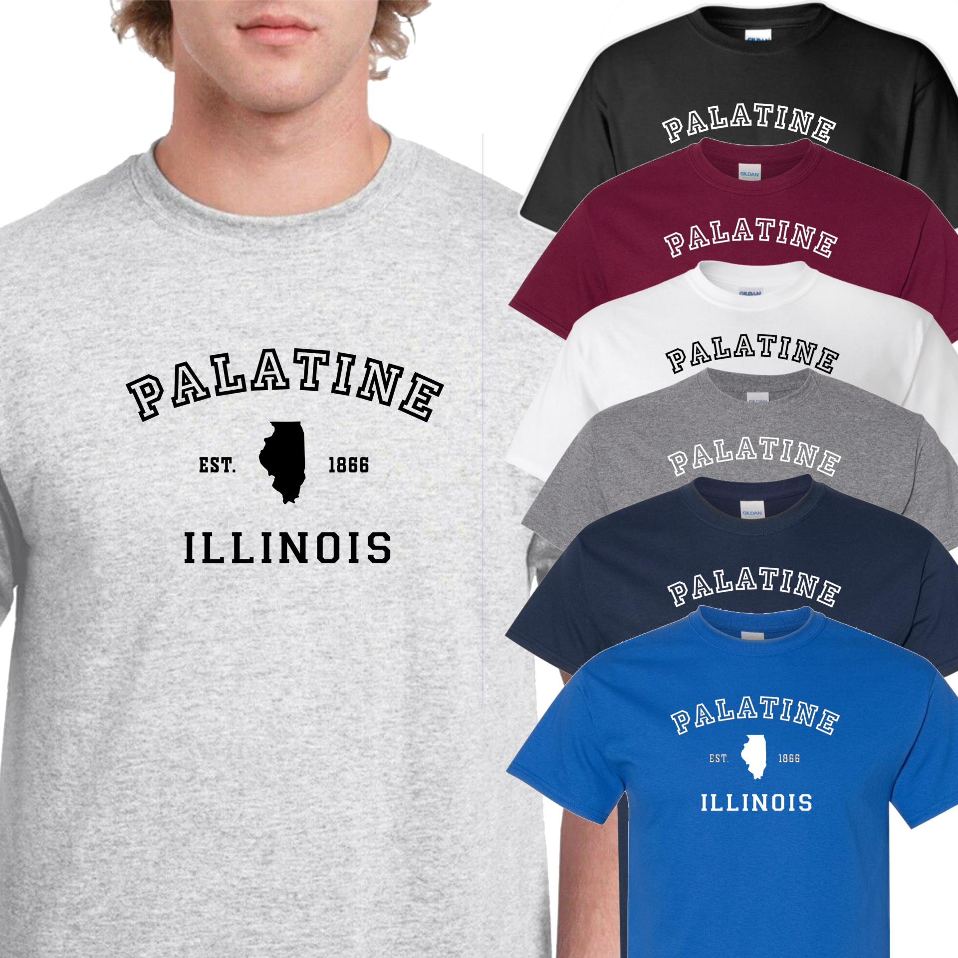 Palatine IL T-Shirt