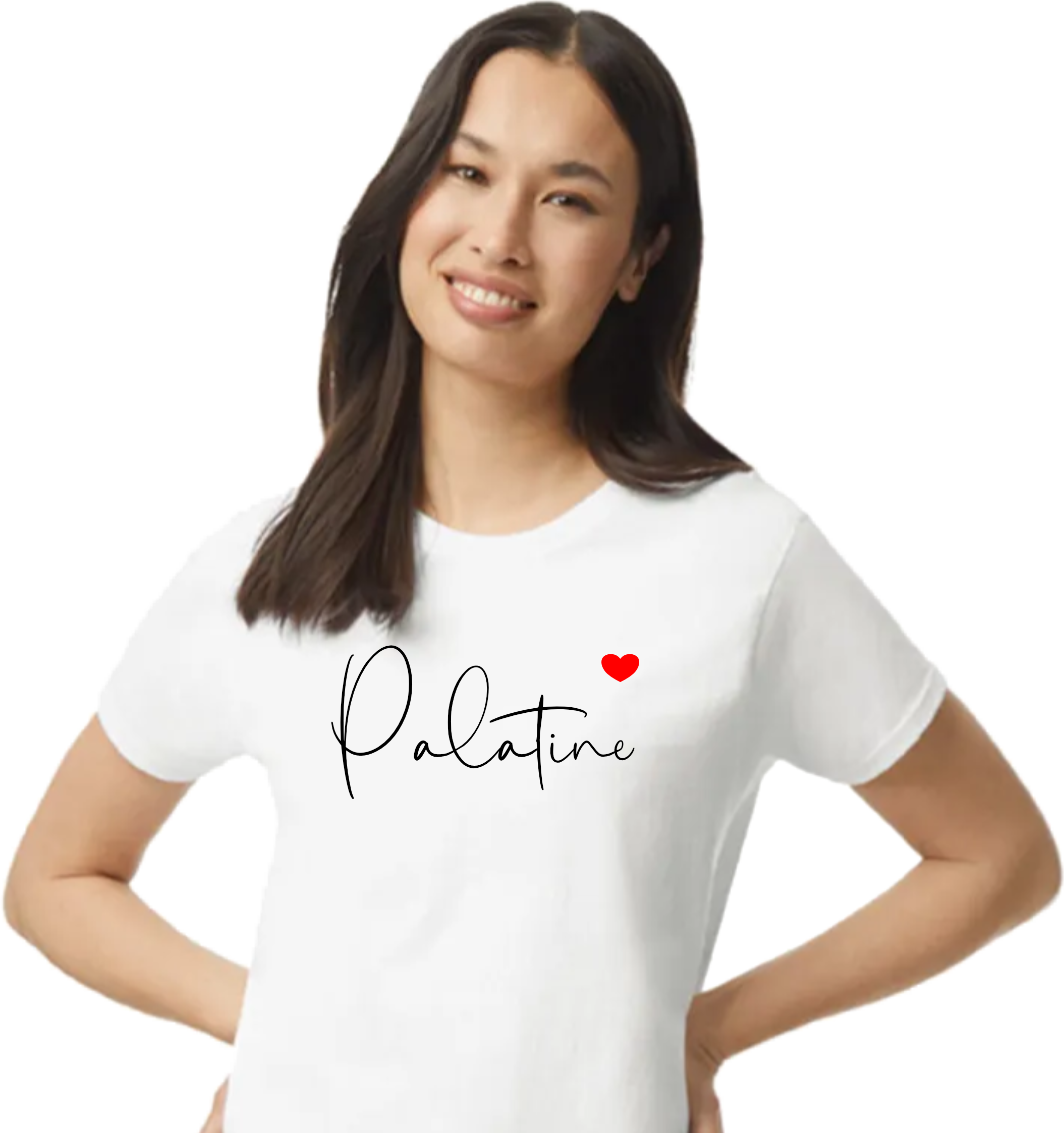 Palatine Womens T-Shirt XS-3X, FREE SHIPPING #5w - Image 4