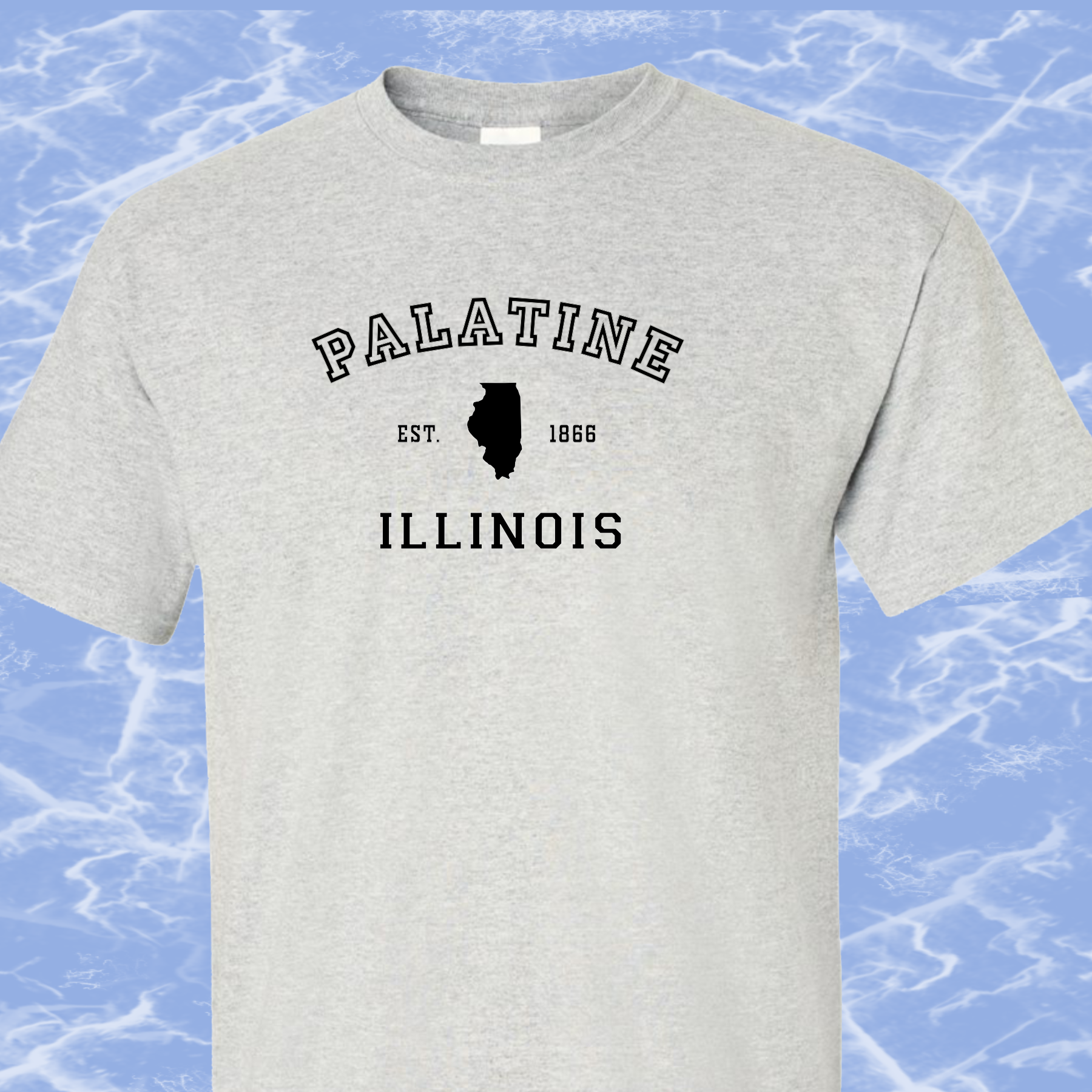 Palatine IL, T-Shirt, Mens/Unisex Sm-6XL Classic Fit, 7 Colors, FREE SHIPPING #1m - Image 3