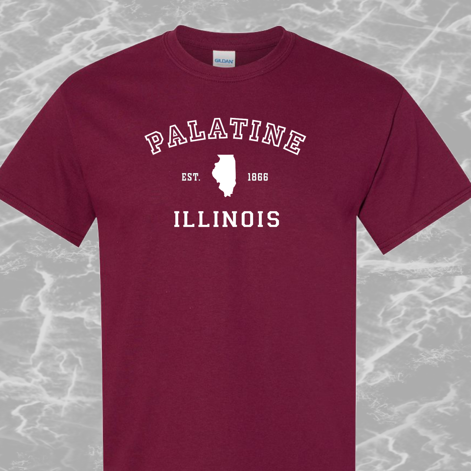 Palatine IL, T-Shirt, Mens/Unisex Sm-6XL Classic Fit, 7 Colors, FREE SHIPPING #1m - Image 4
