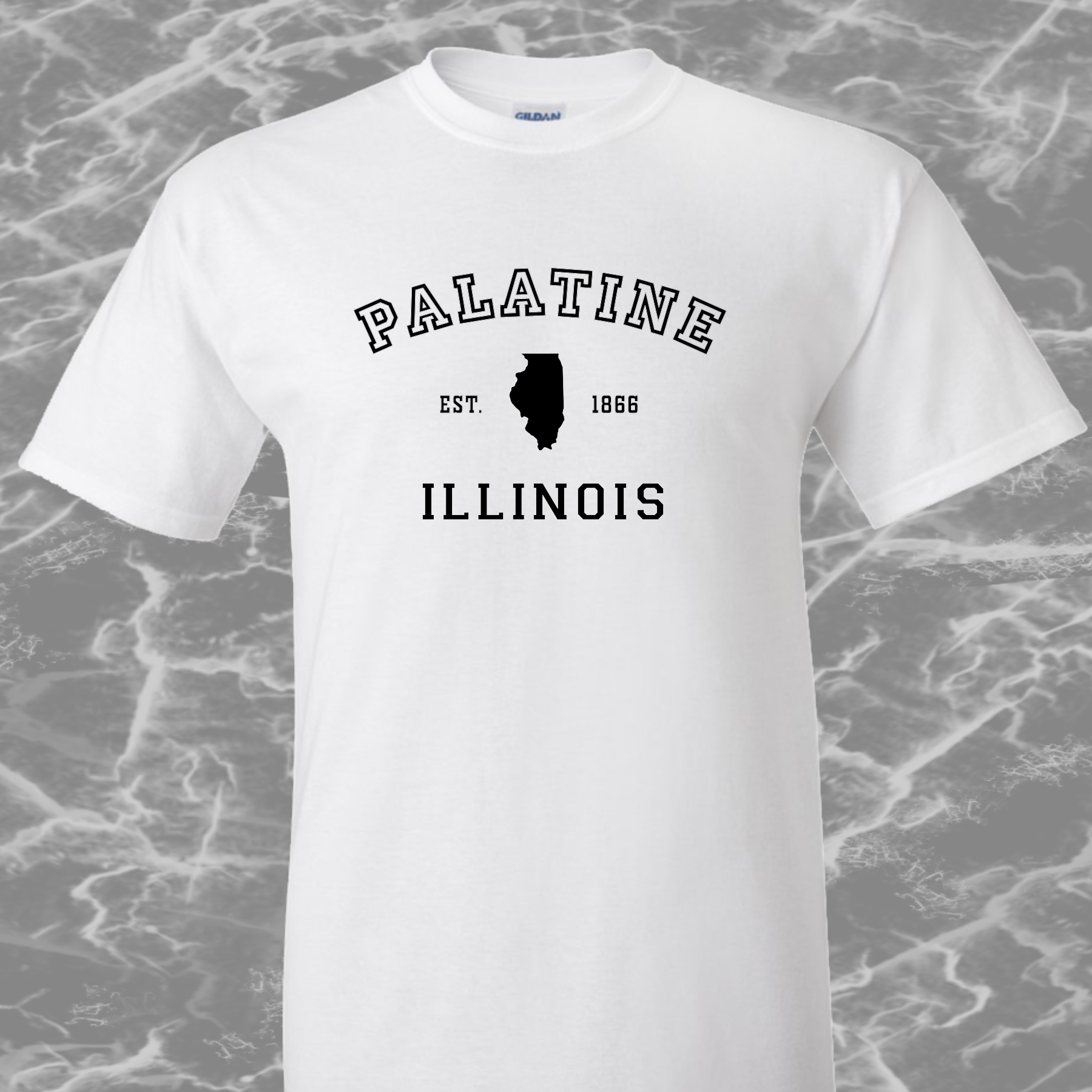 Palatine IL, T-Shirt, Mens/Unisex Sm-6XL Classic Fit, 7 Colors, FREE SHIPPING #1m - Image 5