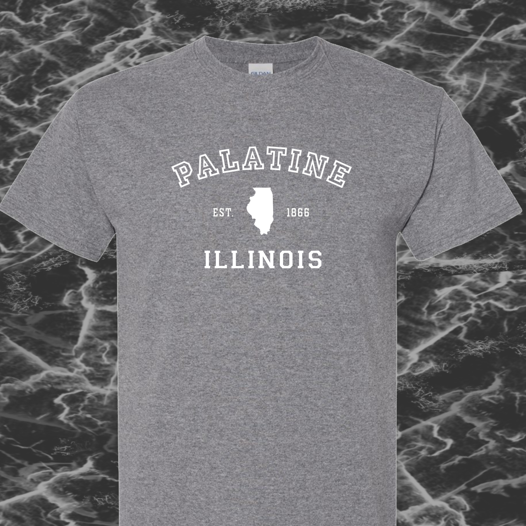 Palatine IL, T-Shirt, Mens/Unisex Sm-6XL Classic Fit, 7 Colors, FREE SHIPPING #1m - Image 8