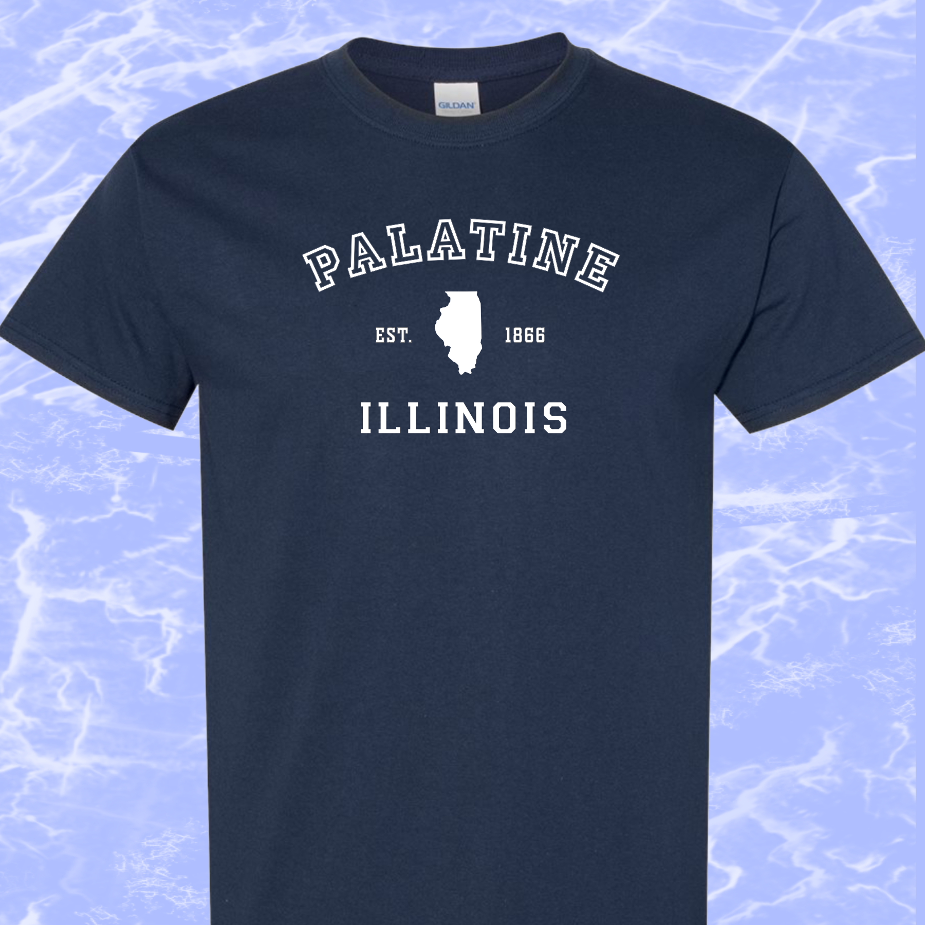 Palatine IL, T-Shirt, Mens/Unisex Sm-6XL Classic Fit, 7 Colors, FREE SHIPPING #1m - Image 6