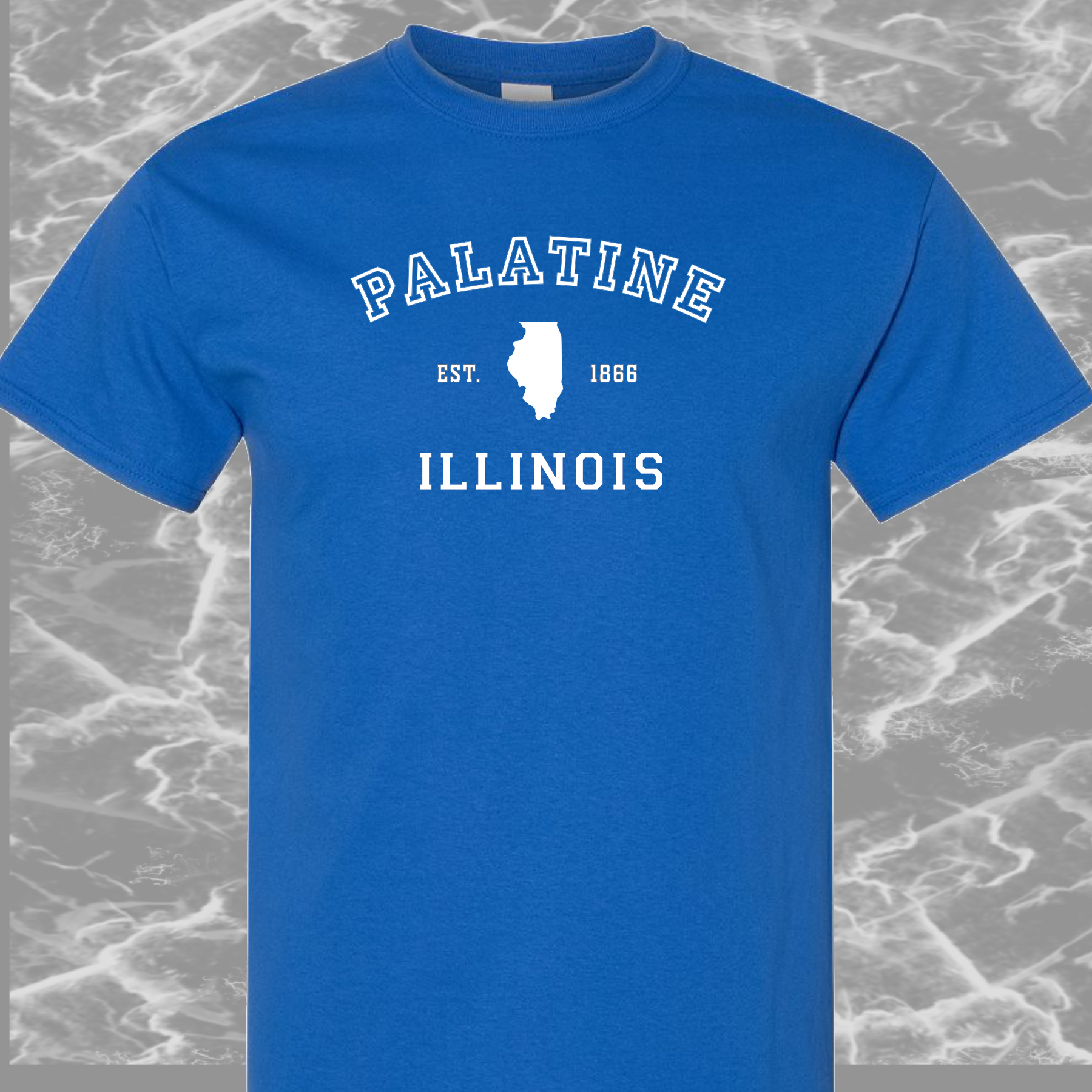 Palatine IL, T-Shirt, Mens/Unisex Sm-6XL Classic Fit, 7 Colors, FREE SHIPPING #1m - Image 7