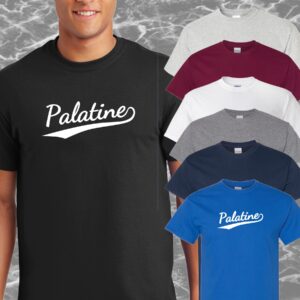 Palatine IL, T-Shirt, Mens/Unisex Sm-6XL Classic Fit, 7 Colors, FREE SHIPPING #2m