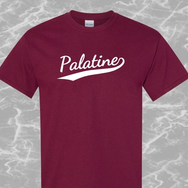 Palatine T-Shirt #2d-3