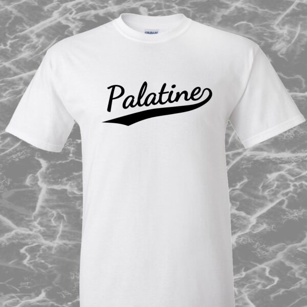 Palatine T-Shirt #2e-2