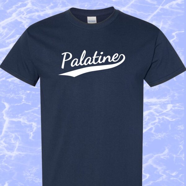 Palatine T-Shirt #2g-2