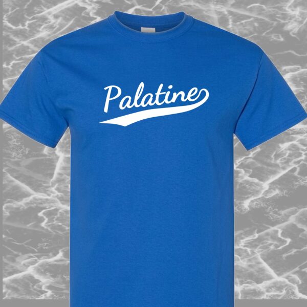 Palatine T-Shirt #2h-1
