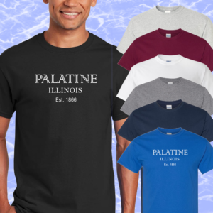 Palatine IL T-Shirt #4a