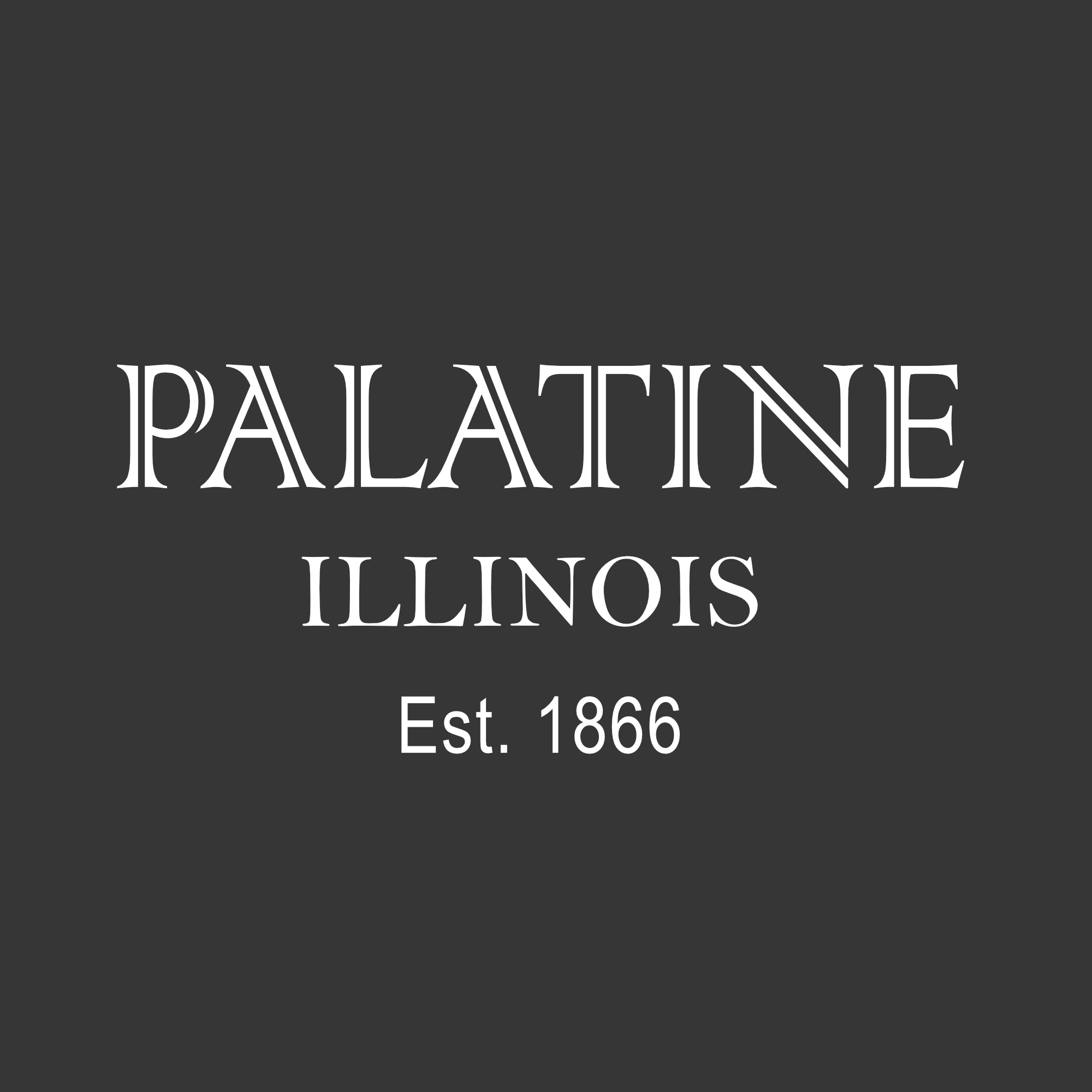 Palatine IL T-Shirt #4b