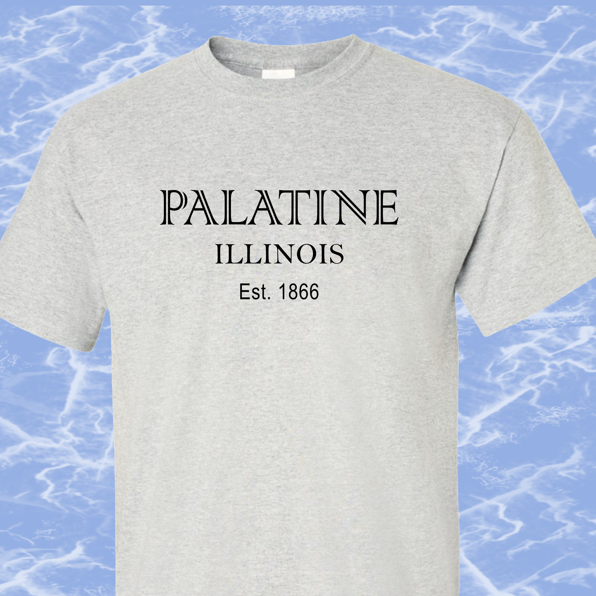 Palatine IL T-Shirt #4c