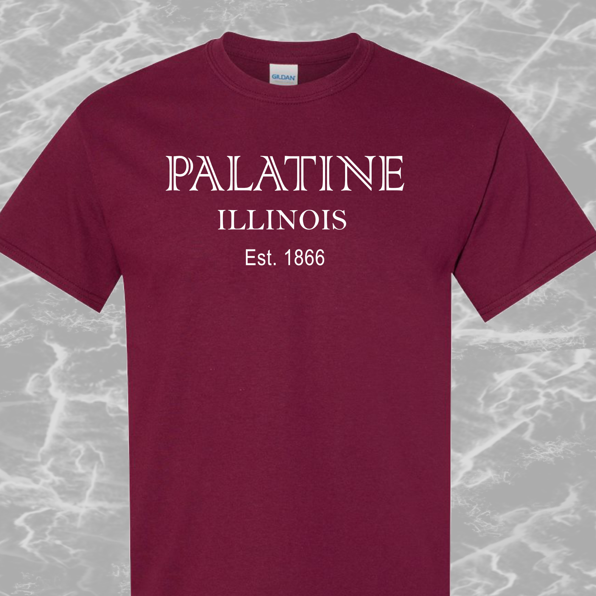 Palatine IL T-Shirt #4d