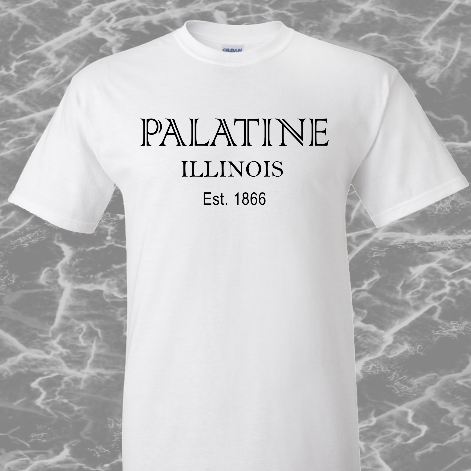 Palatine IL T-Shirt #4e