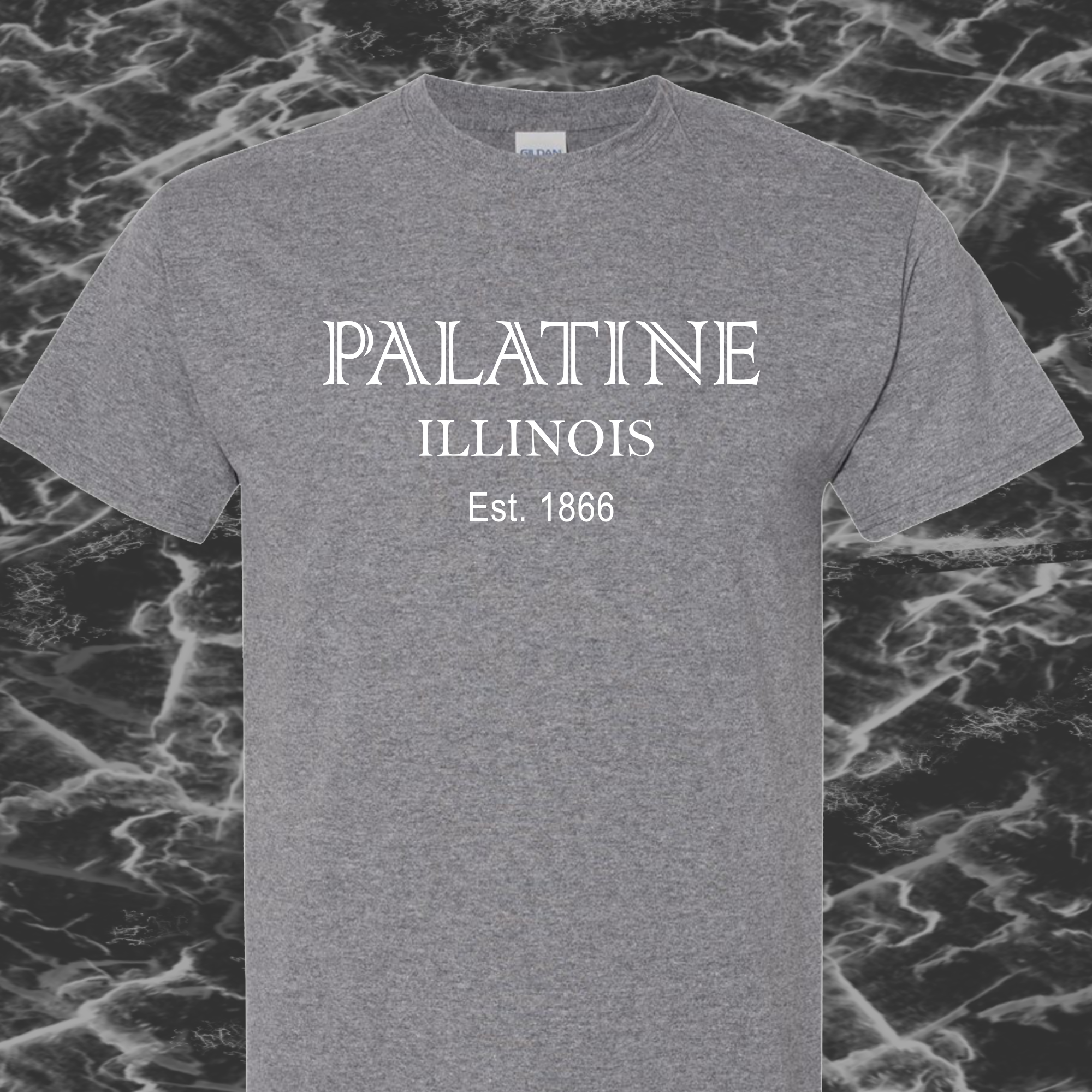 Palatine IL T-Shirt #4f