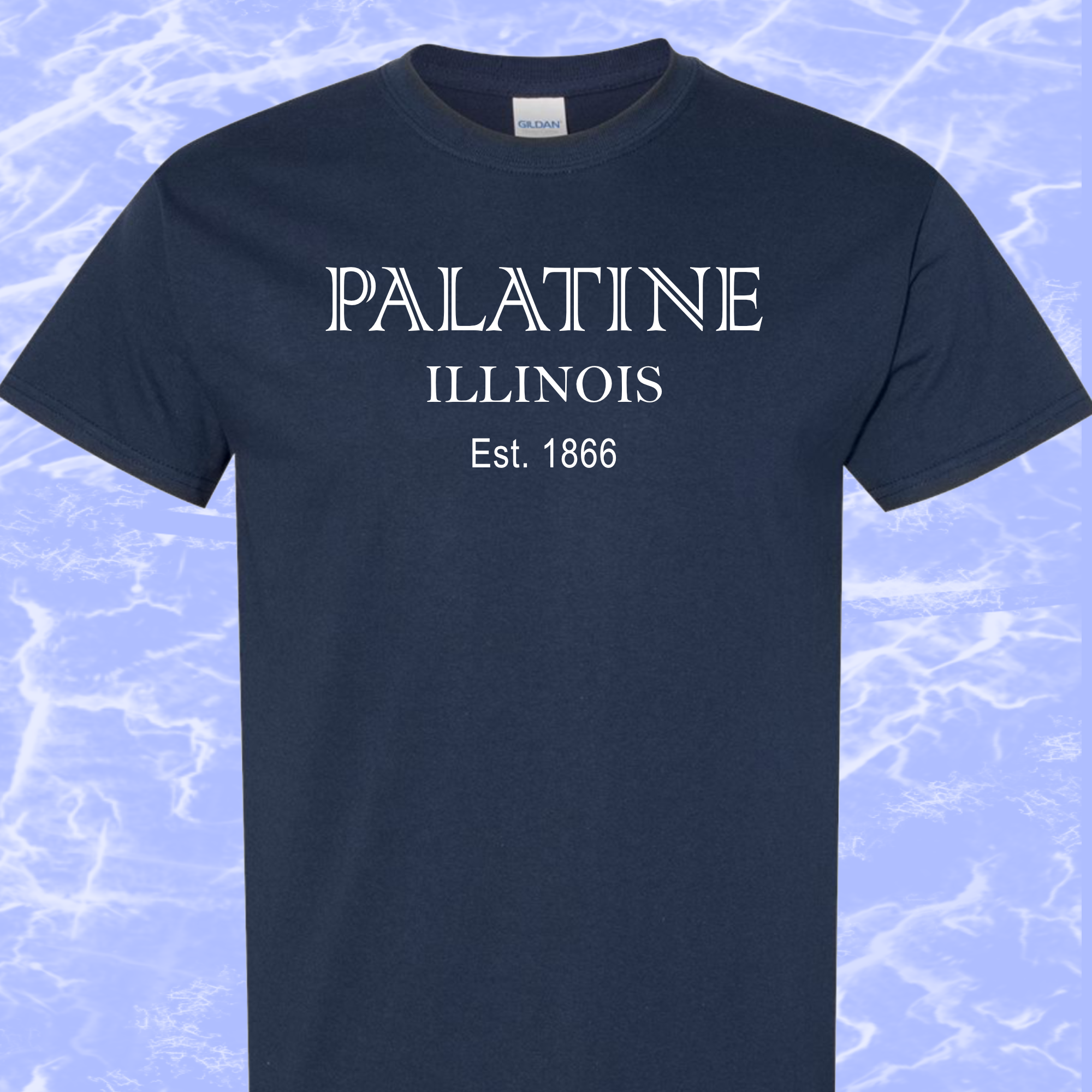 Palatine IL T-Shirt #4g