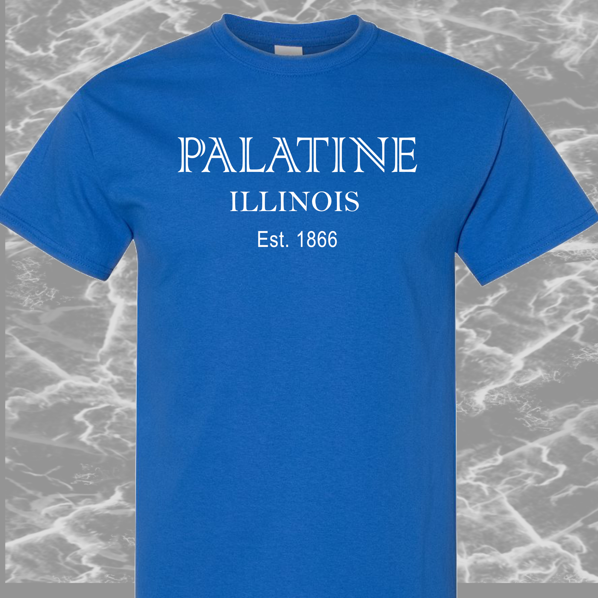 Palatine IL T-Shirt #4h