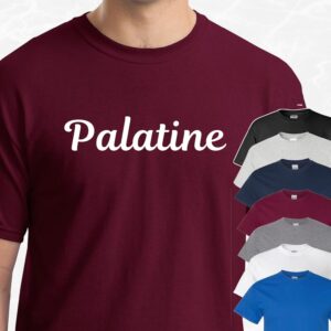 Palatine IL