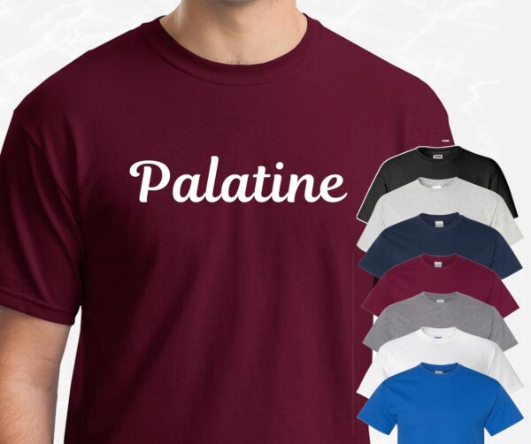 Palatine IL